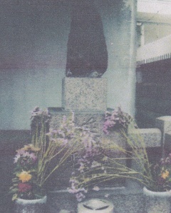 IMG.jpg